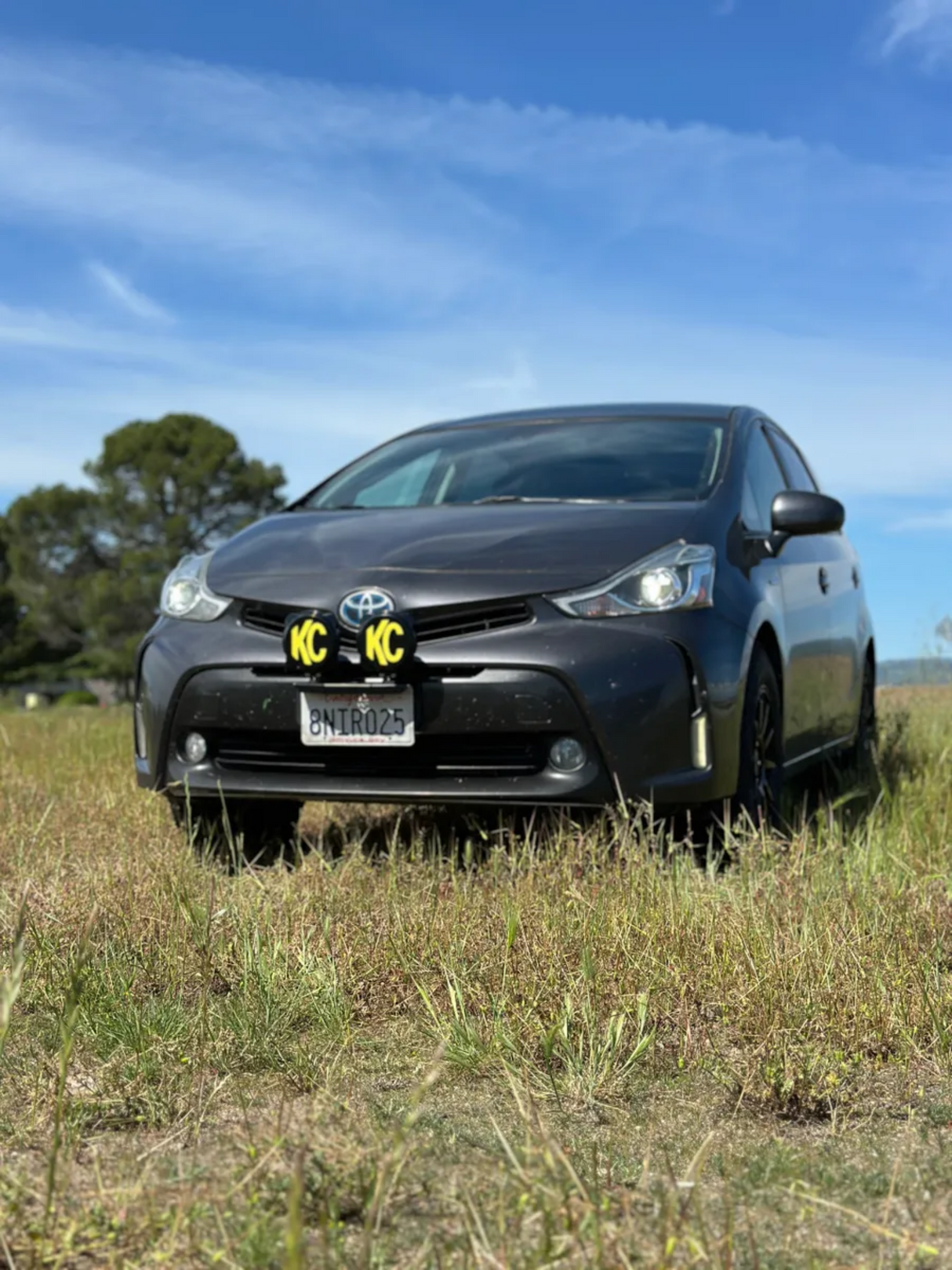 UNIVERSAL LICENSE PLATE LIGHT BRACKET